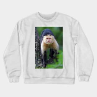 Capuchin monkey - Costa Rica Crewneck Sweatshirt